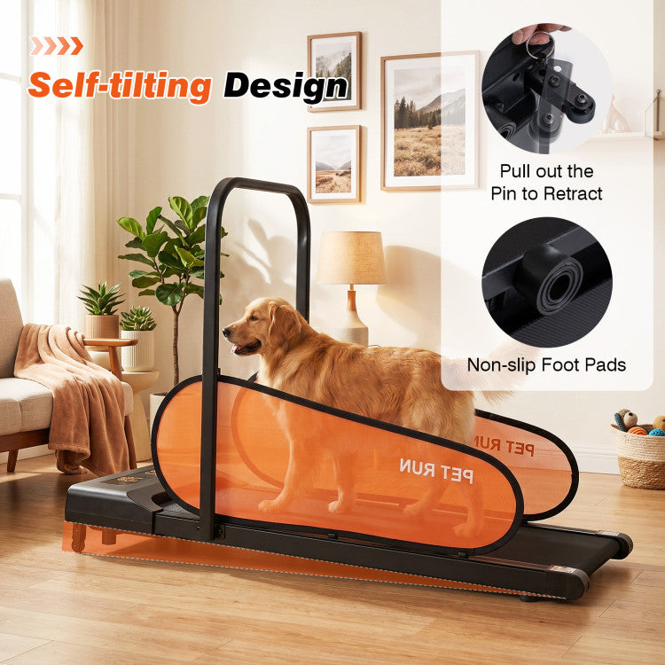 New Pet Treadmill for Small & Medium Dogs with LED Display and Adjustable Speed