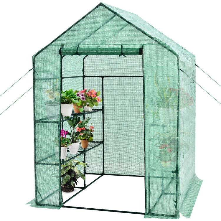 Outdoor Walk-in Greenhouse 56 x 56 x 77 Inch Gardening with Observation Windows