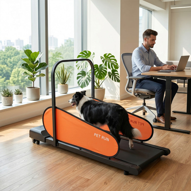 New Pet Treadmill for Small & Medium Dogs with LED Display and Adjustable Speed