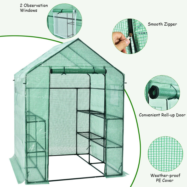 Outdoor Walk-in Greenhouse 56 x 56 x 77 Inch Gardening with Observation Windows