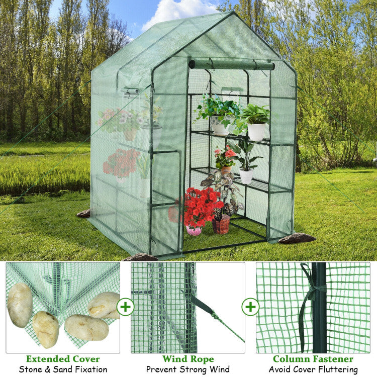 Outdoor Walk-in Greenhouse 56 x 56 x 77 Inch Gardening with Observation Windows