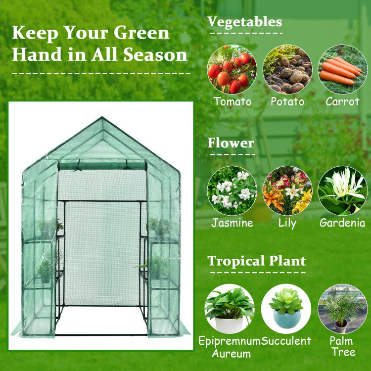 Outdoor Walk-in Greenhouse 56 x 56 x 77 Inch Gardening with Observation Windows