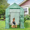 Outdoor Walk-in Greenhouse 56 x 56 x 77 Inch Gardening with Observation Windows
