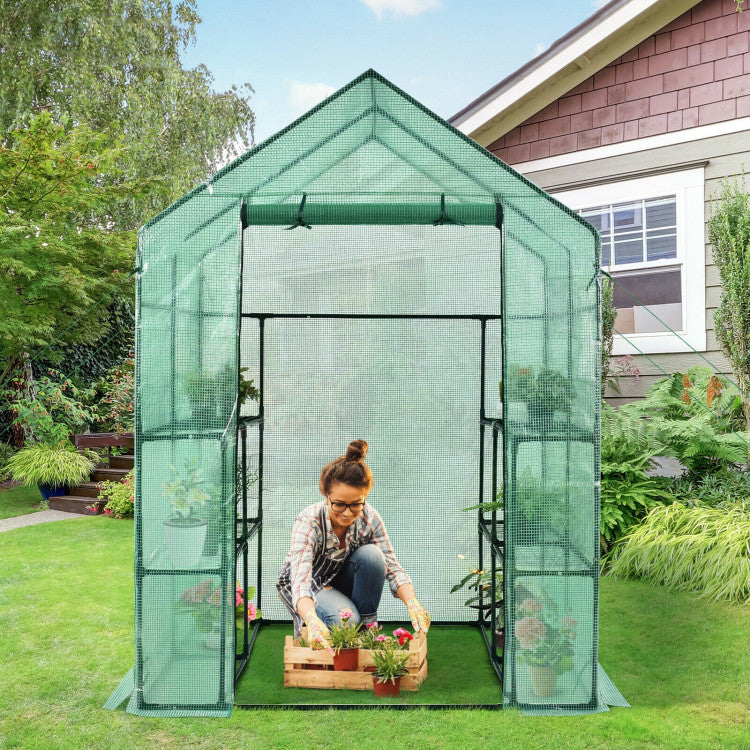 Outdoor Walk-in Greenhouse 56 x 56 x 77 Inch Gardening with Observation Windows