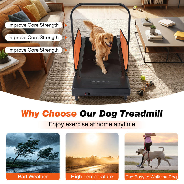 New Pet Treadmill for Small & Medium Dogs with LED Display and Adjustable Speed