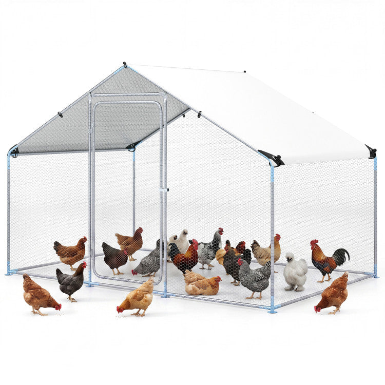 New Outdoor 9.8 x 6.7  Feet Large Metal Chicken Coop with Waterproof Cover
