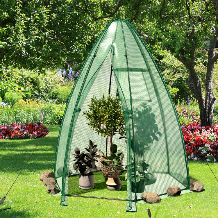 Outdoor 5.5 x 5.5 x 6 Feet Portable Mini Greenhouse with All-Weather PE Cover