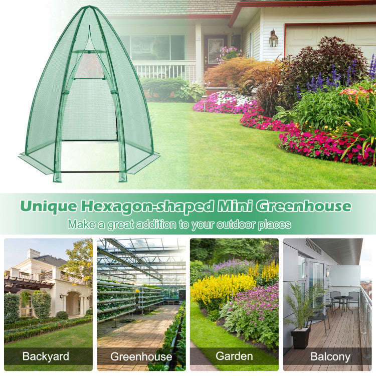 Outdoor 5.5 x 5.5 x 6 Feet Portable Mini Greenhouse with All-Weather PE Cover