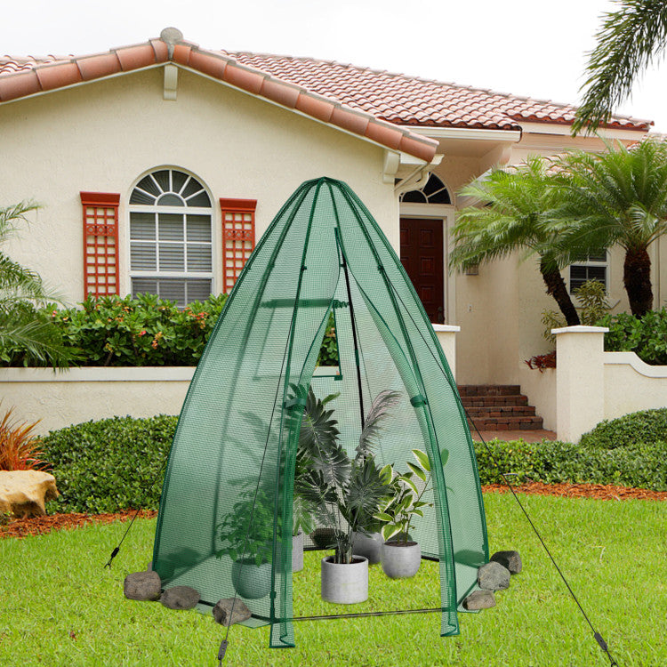 Outdoor 5.5 x 5.5 x 6 Feet Portable Mini Greenhouse with All-Weather PE Cover