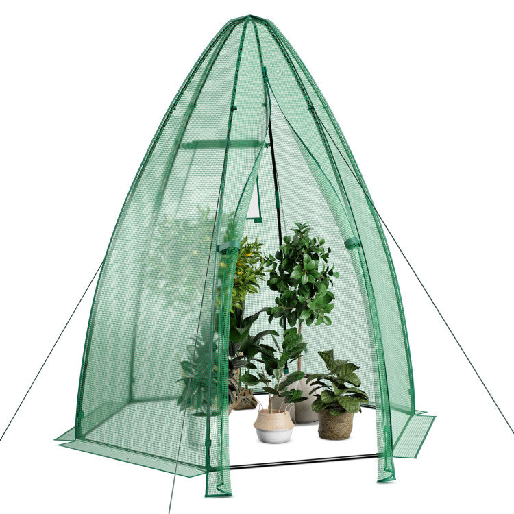 Outdoor 5.5 x 5.5 x 6 Feet Portable Mini Greenhouse with All-Weather PE Cover