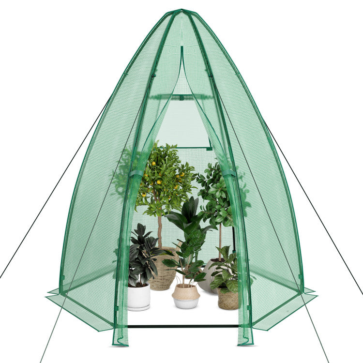 Outdoor 5.5 x 5.5 x 6 Feet Portable Mini Greenhouse with All-Weather PE Cover