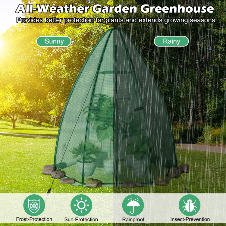 Outdoor 5.5 x 5.5 x 6 Feet Portable Mini Greenhouse with All-Weather PE Cover