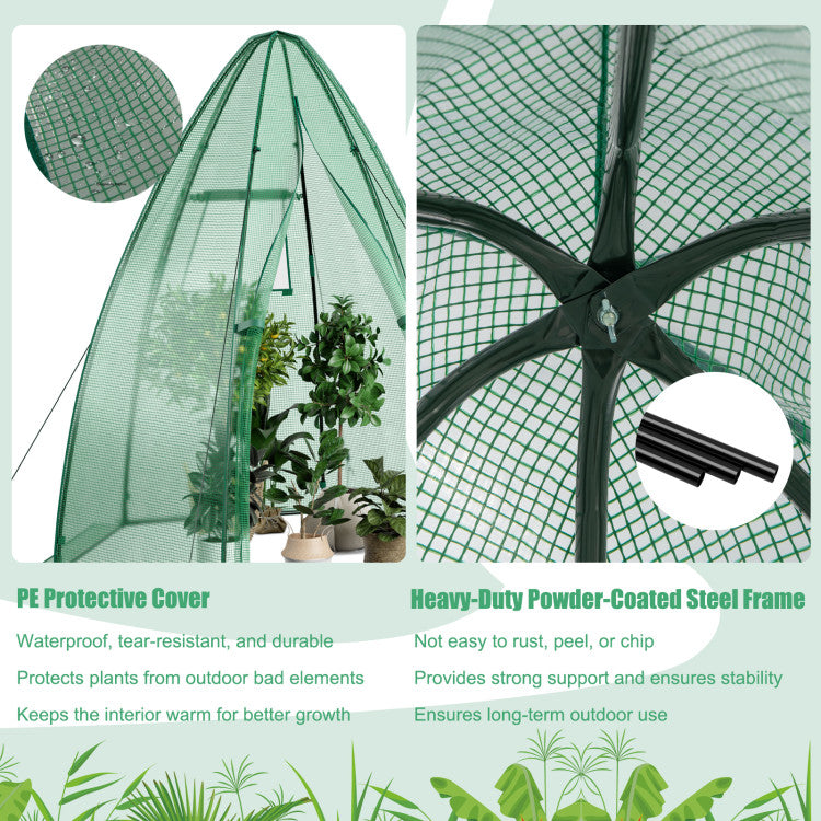 Outdoor 5.5 x 5.5 x 6 Feet Portable Mini Greenhouse with All-Weather PE Cover