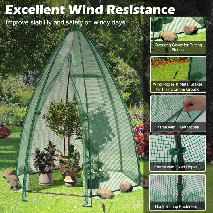 Outdoor 5.5 x 5.5 x 6 Feet Portable Mini Greenhouse with All-Weather PE Cover