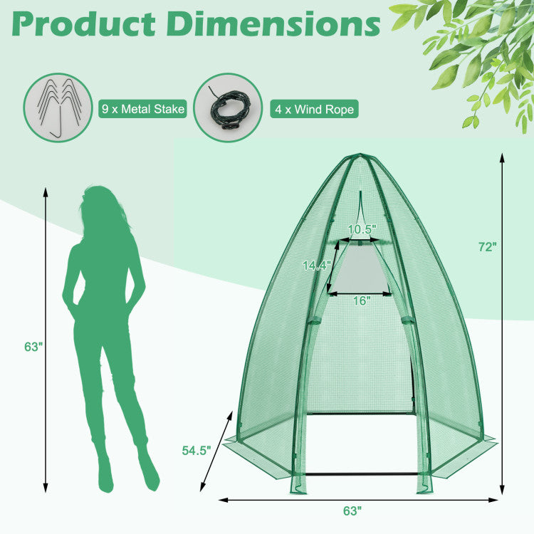Outdoor 5.5 x 5.5 x 6 Feet Portable Mini Greenhouse with All-Weather PE Cover