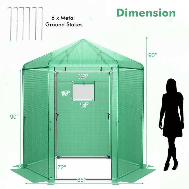 Outdoor Walk-In Hexagonal Greenhouse with PE Cover and Metal Frame