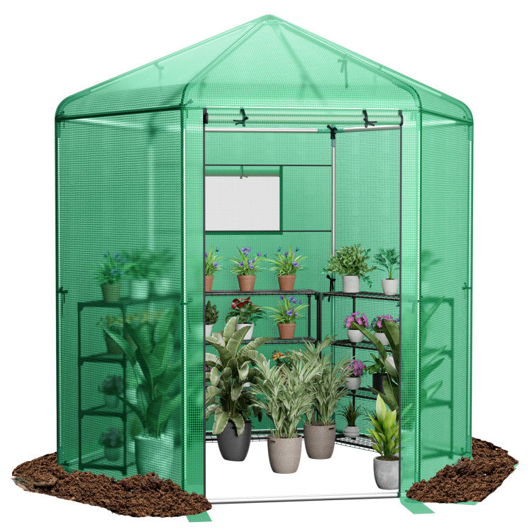 Outdoor Walk-In Hexagonal Greenhouse with PE Cover and Metal Frame