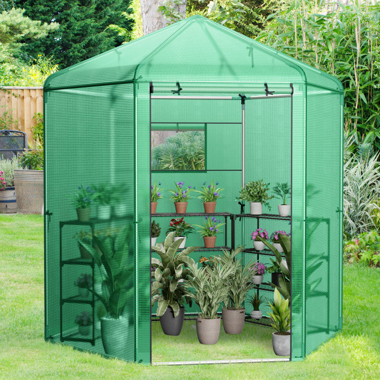 Outdoor Walk-In Hexagonal Greenhouse with PE Cover and Metal Frame