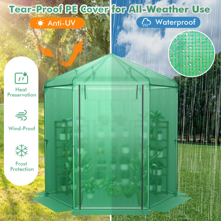 Outdoor Walk-In Hexagonal Greenhouse with PE Cover and Metal Frame