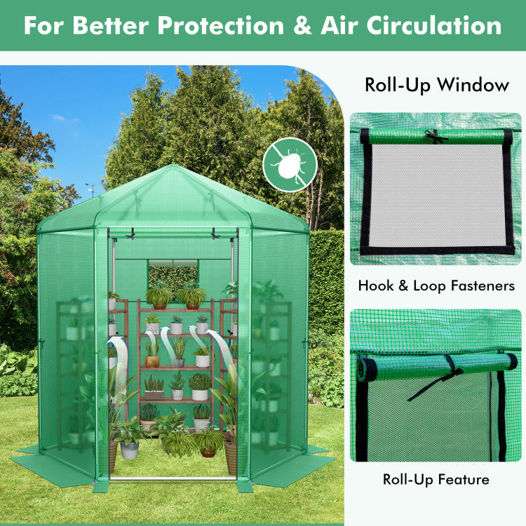 Outdoor Walk-In Hexagonal Greenhouse with PE Cover and Metal Frame