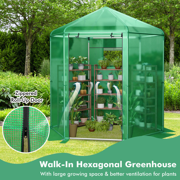 Outdoor Walk-In Hexagonal Greenhouse with PE Cover and Metal Frame