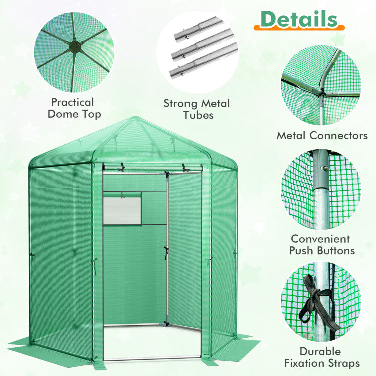 Outdoor Walk-In Hexagonal Greenhouse with PE Cover and Metal Frame