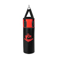 Fitness Kids 11 Pounds Kids Hanging Punching Bag Set with Punching Gloves